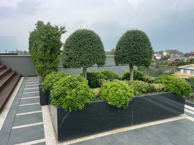 کاشت - پروژه فضای سبز کوهپری